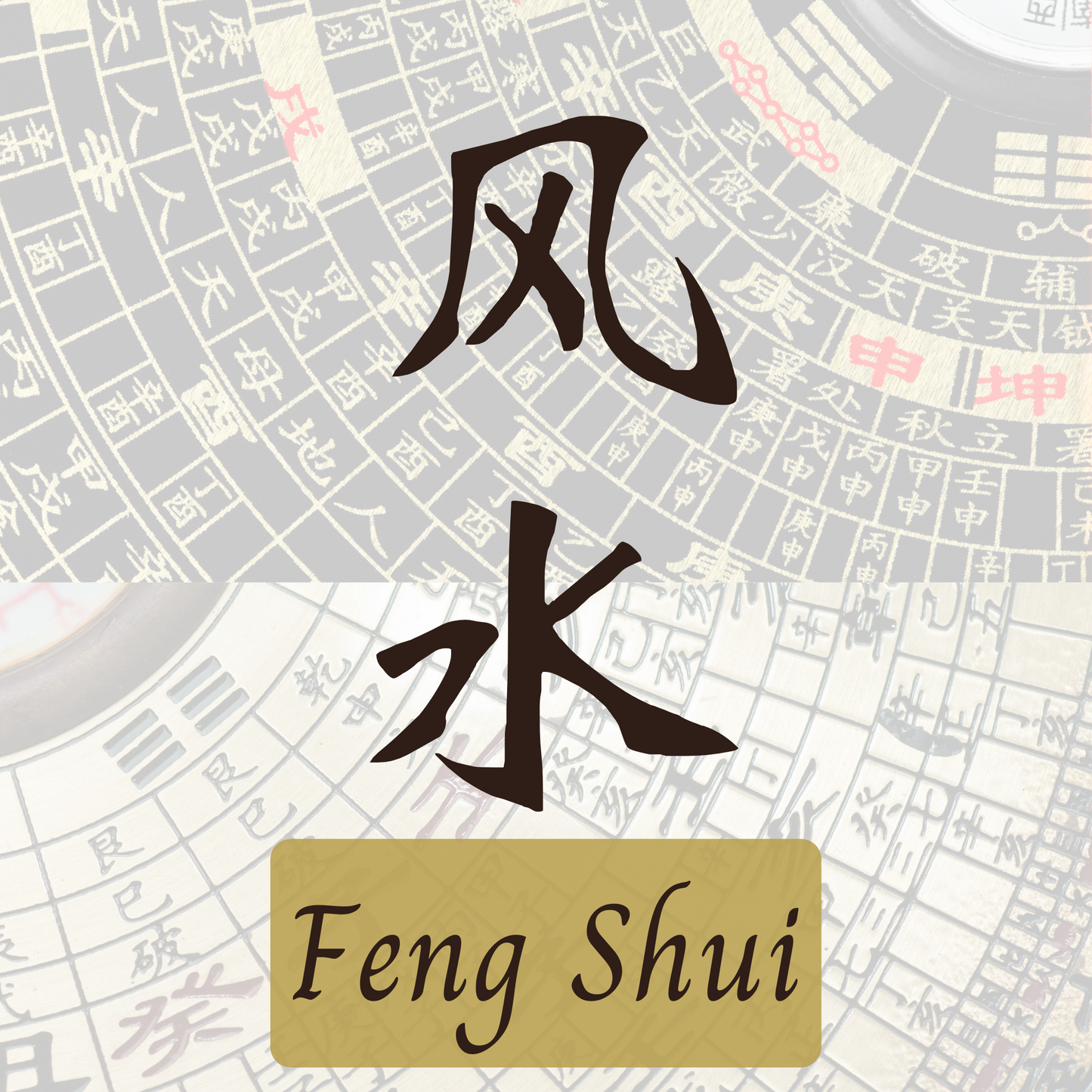 Feng Shui Consultation